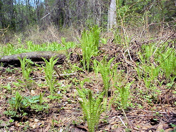 �N�T�\�e�c�i�R�S�~�j