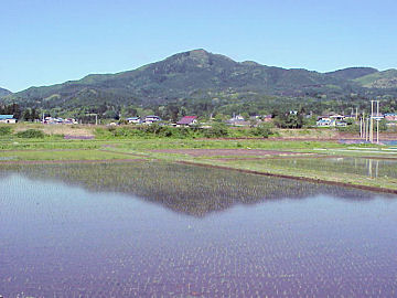 ���ւ�����u�c����v