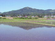 ���ւ�����u�c����v