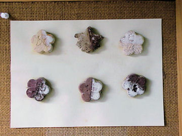 松館の粘土の試し焼き