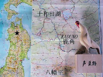 ���p�̎��͗���s��