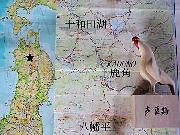 ���p�̎��͗���s��