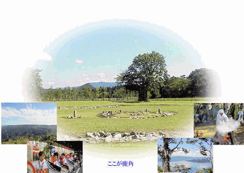 �f�k�m(GREEN & LUCKY NET)���� ����ɂ��́u�����͎��p�v