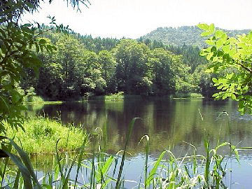 ���p����^����