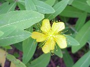 �Î��L�i�����j