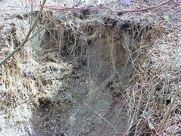 ���ӕ��̕���