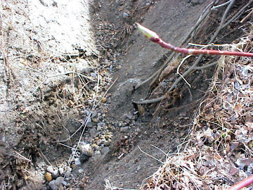 ���ӕ��̕���