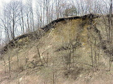 ���ӕ��̕���