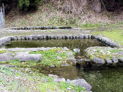 �N���͍�������