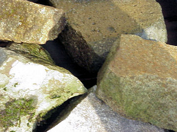 �����t��