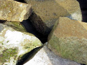 ���v�J��ւ̕����t�߂̊��