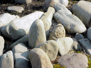 ������Ղ̔z��2