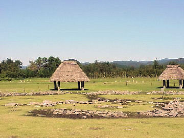 ��������