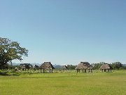 �哒����