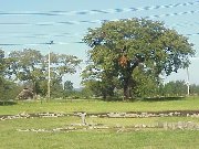 �哒����