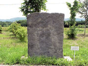 ��Z�����ʈ��