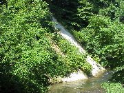 �ΖʂɘI�o���Ă���