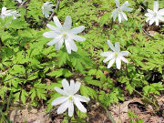 �L�N�U�L�C�`�Q�i�L�N�U�L�C�`�����\�E�j