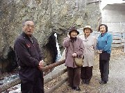 �����C��