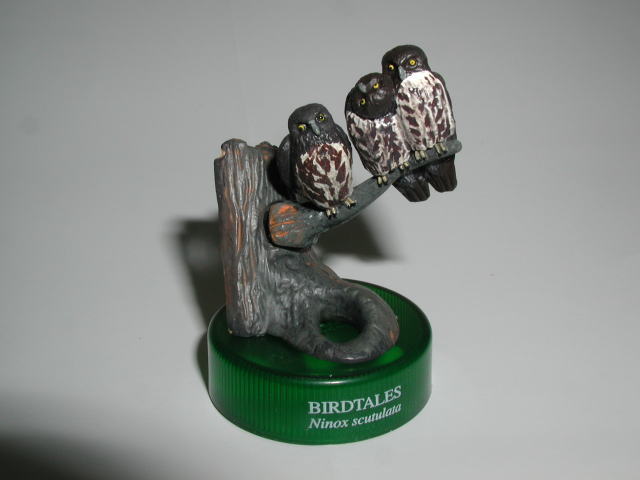 �m�n�D�P�F�A�I�o�Y�N�@2005/7/2�B�e