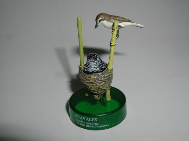 �m�n�D�Q�F�J�b�R�E�ƃI�I���V�L���@2005/7/2�B�e