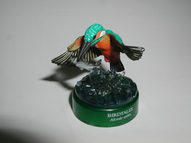 �m�n�D�R�F�J���Z�~�@2005/7/2�B�e