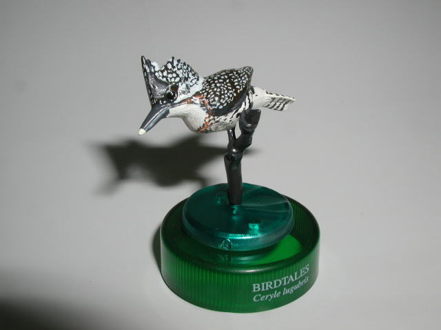 �m�n�D�S�F���}�Z�~�@2005/7/2�B�e