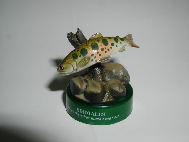 �m�n�D�T�F���}���@2005/7/2�B�e