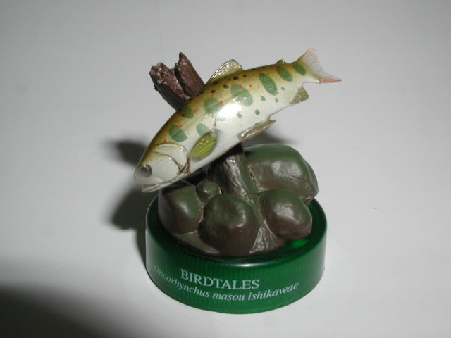 �m�n�D�U�F�A�}�S�@2005/7/2�B�e