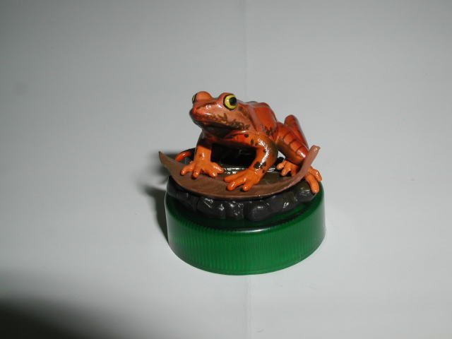 �m�n�D�W�F�^�S�K�G���@2005/7/2�B�e