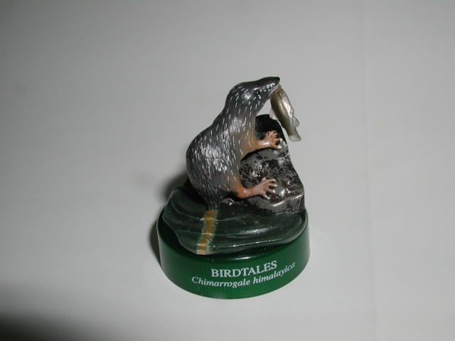 �m�n�D�X�F�J���l�Y�~�@2005/7/2�B�e