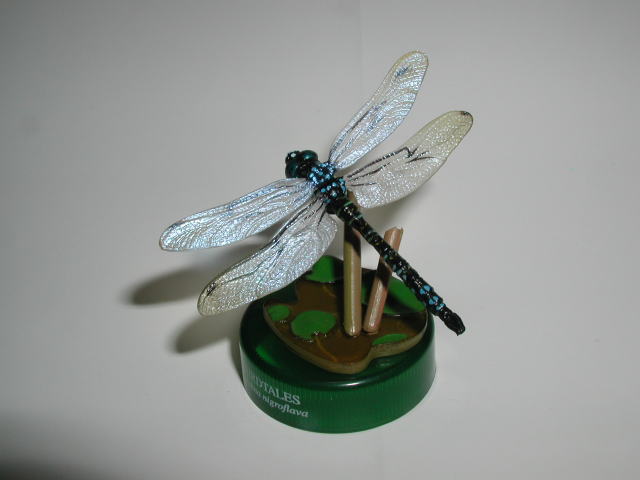 �m�n�D�P�O�F�I�I�����{�V�����}�@2005/7/2�B�e