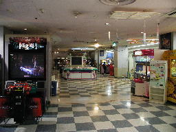 �A�|�����̗l�q