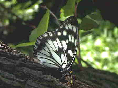 �S�}�_���`���E