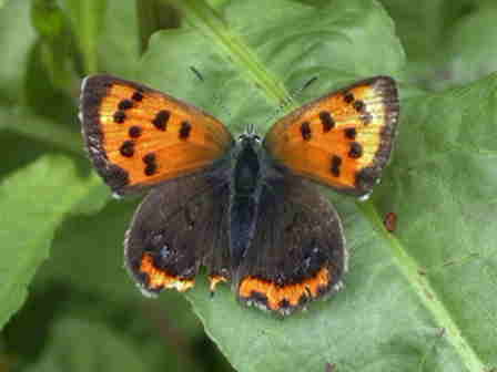 �x�j�V�W�~