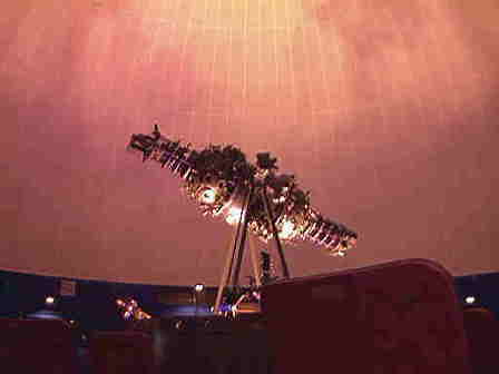 �v���l�^���E��