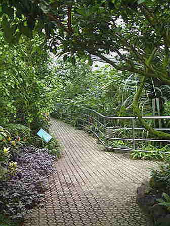 �����̒ʘH