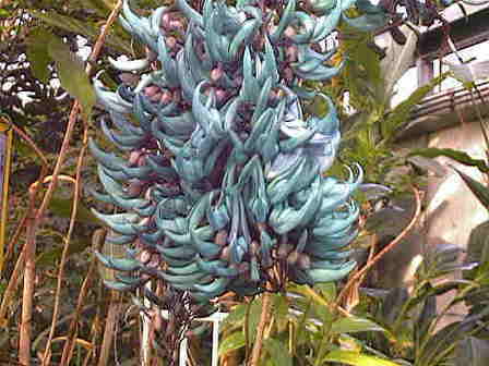 ���Ԃ̃A�b�v