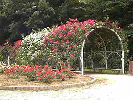 �o���̃g���l���P