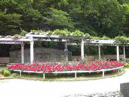 �o�����x�e�{��