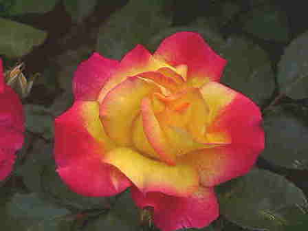 ���F���o��