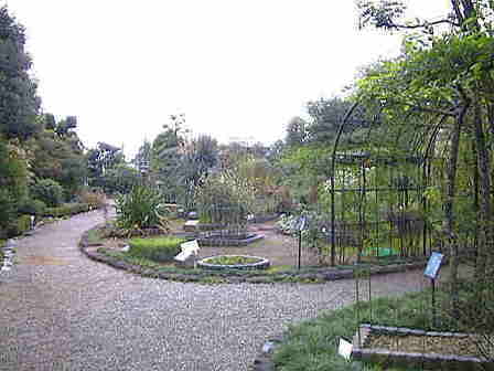 ���t�A�����P