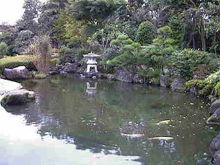 ���t�A�����Q