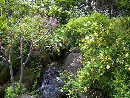 ���t�A�����R