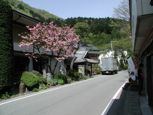 �z�e���O�̃o�X��@2004/5/1�B�e