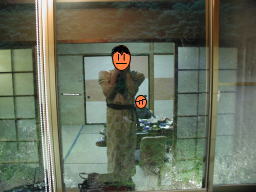 �J�����[�ۂ肷���j�̐}�A�܂������ăV���b�N�A�����F�H�������@2004/4/30�B�e