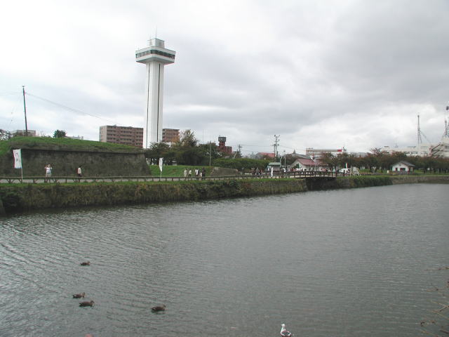 �ܗŊs�^���[�S�i