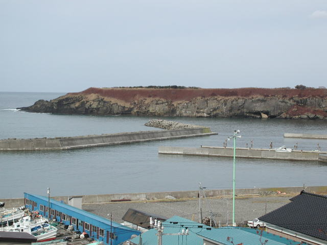 �J�������̃A�b�v1�B�����ɁA�N�������̑��Ղ�����ƕ����܂����B�N���������H