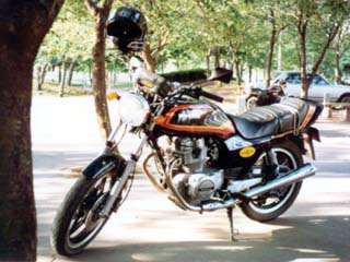 ������ 250 �ł��傫��������