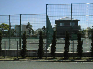 �e�j�X�R�[�g�ƒ����r�̋�